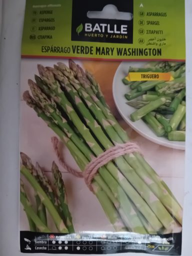 Asperges Battle