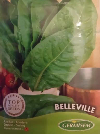 Oseille Germisem